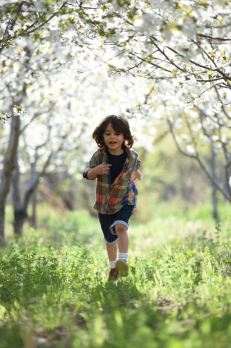 <em><strong>Jordan M.</strong></em>